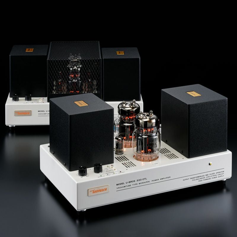 Fascination117 [パワーアンプ]（完成品）【受注生産・通常納期約180日