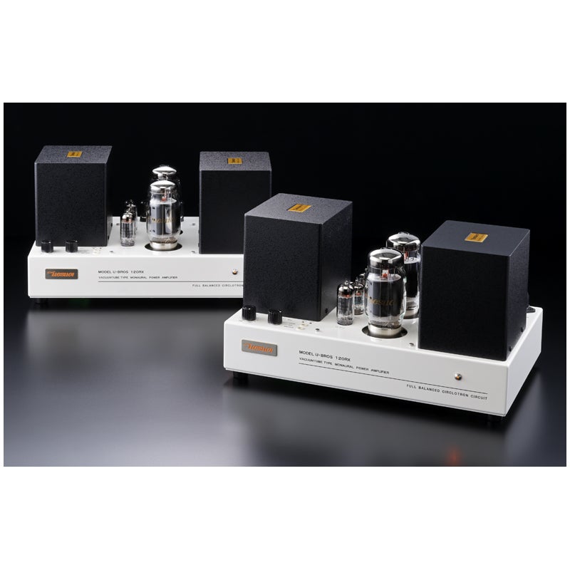 UESUGI U・BROS-120RX Limited Edition[モノーラルパワーアンプ]（完成